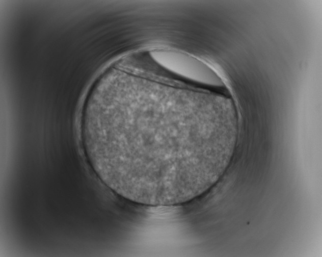 X0000089691008200707201716