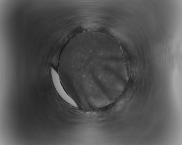 X0000089691010200707201716