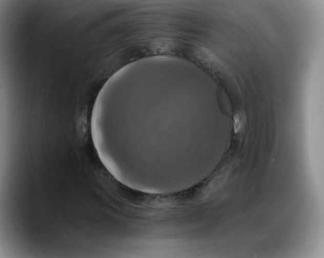 X0000089691011200707201716