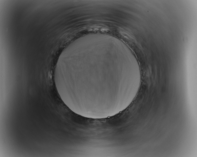 X0000089691013200707201716
