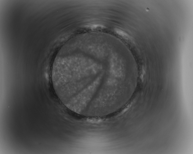 X0000089691014200707201716