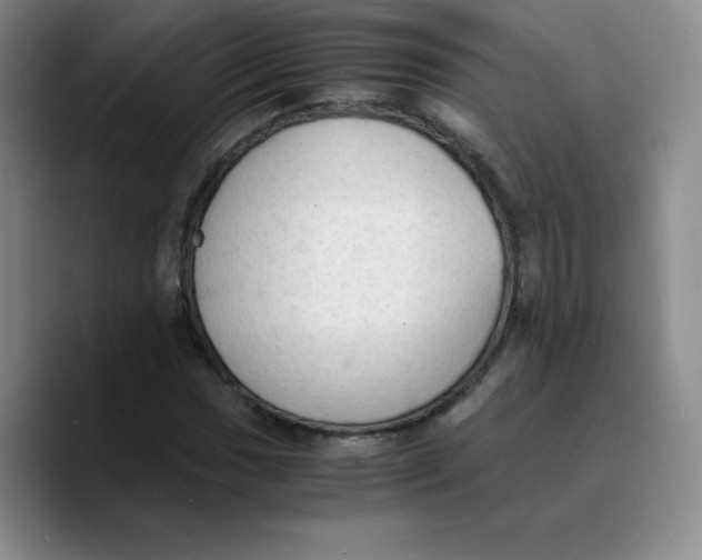 X0000089691017200707201716