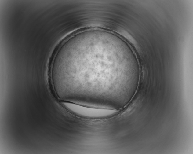 X0000089691020200707201716