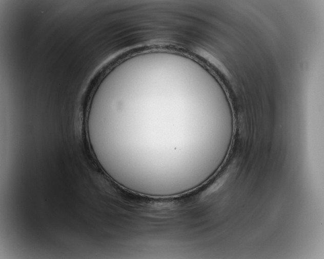 X0000089691021200707201716