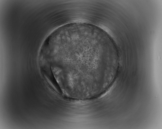 X0000089691022200707201716