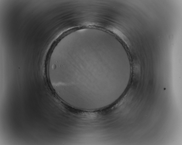 X0000089691023200707201716