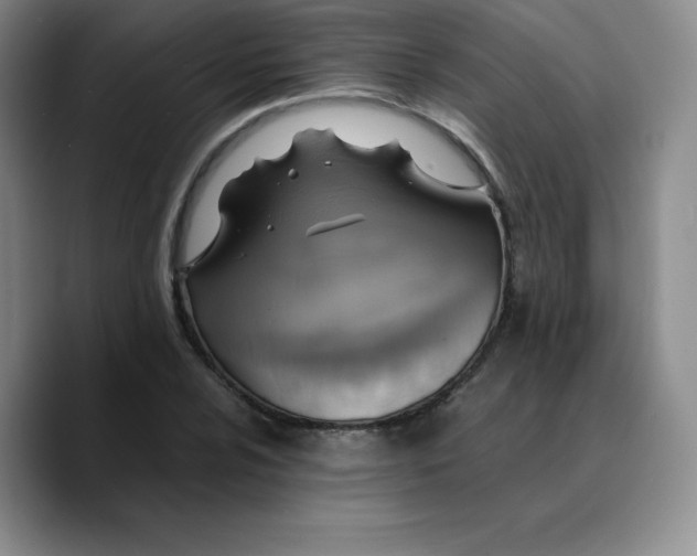 X0000089691024200707201716