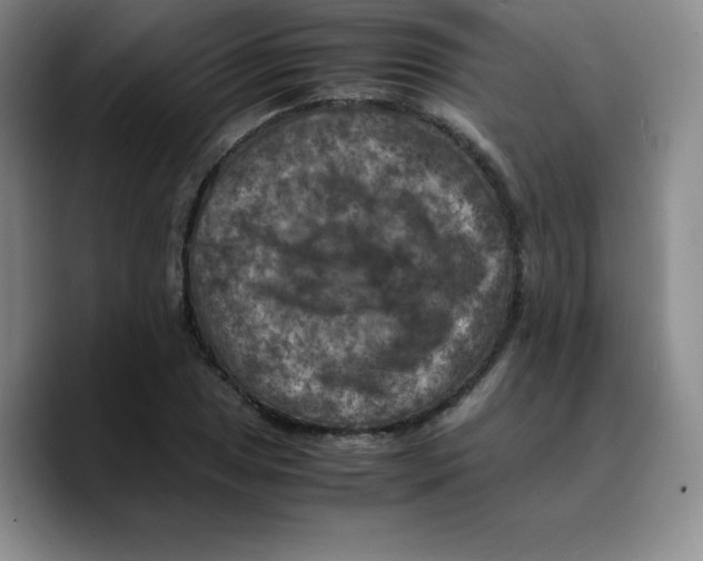 X0000089691025200707201716