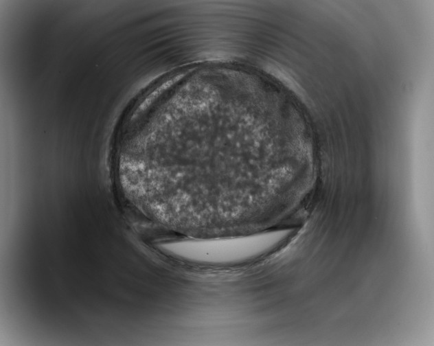 X0000089691026200707201716