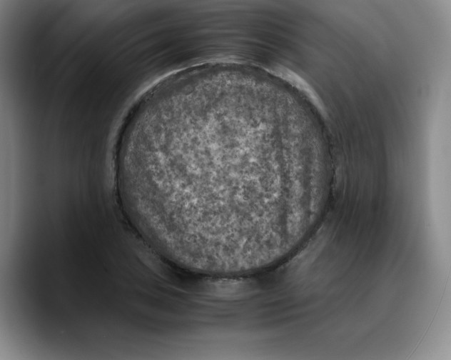X0000089691027200707201716