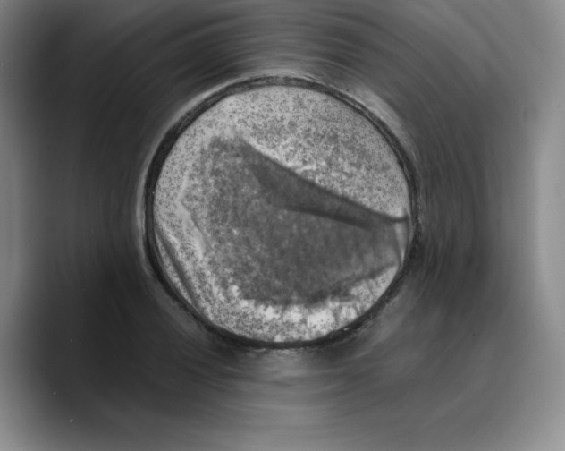 X0000089691028200707201716