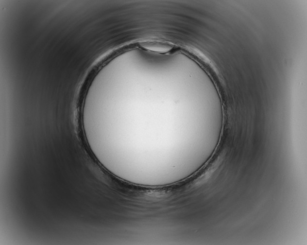 X0000089691029200707201716