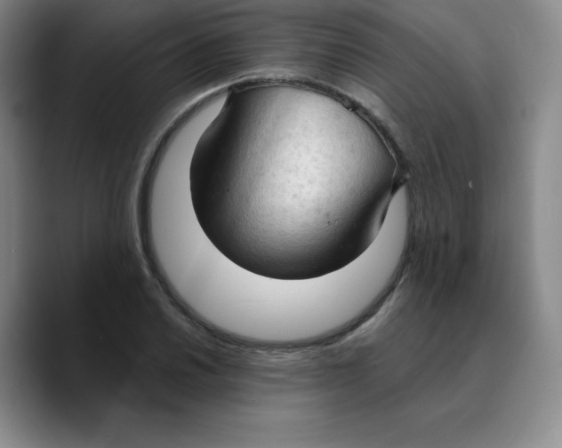 X0000089691030200707201716
