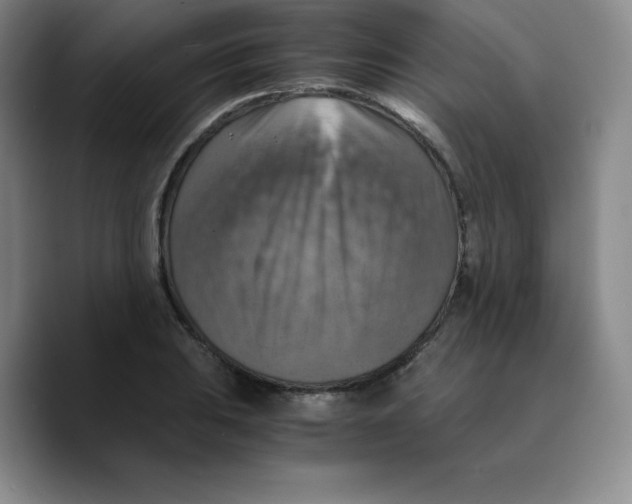 X0000089691031200707201716