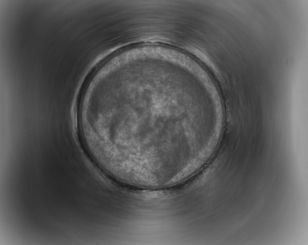 X0000089691032200707201716