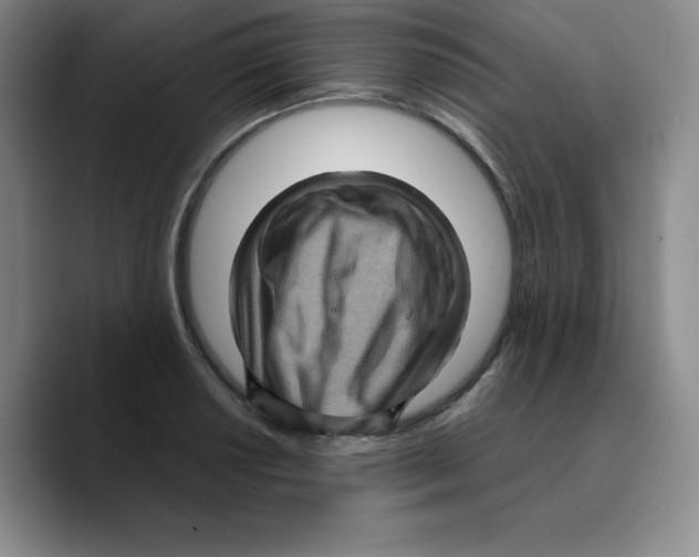 X0000089691034200707201716