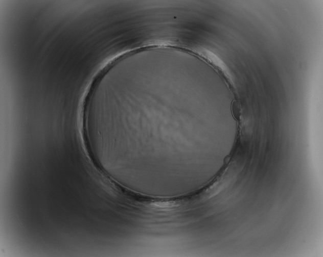 X0000089691035200707201716