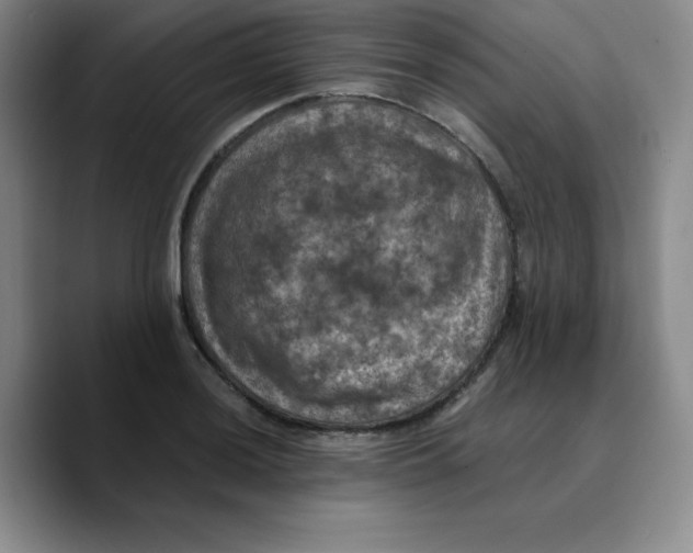 X0000089691036200707201716