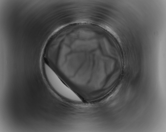 X0000089691037200707201716