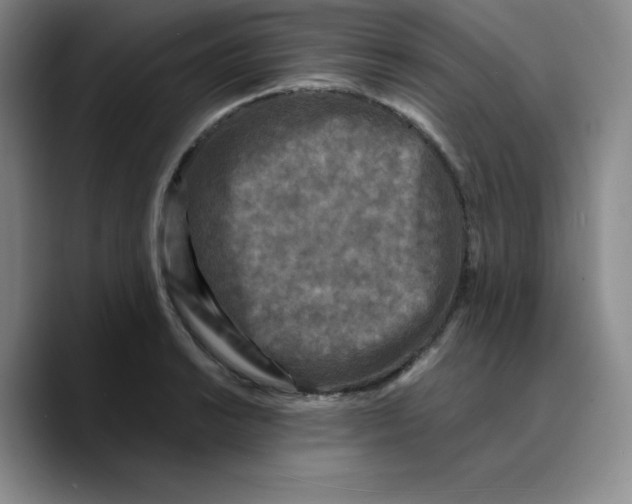 X0000089691038200707201716