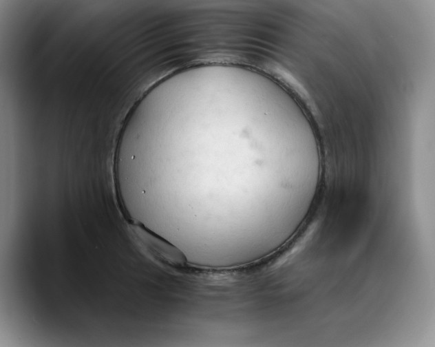 X0000089691041200707201716