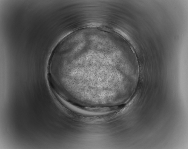 X0000089691042200707201716