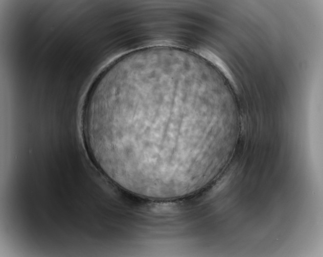 X0000089691043200707201716