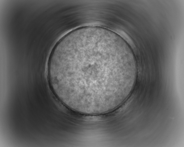 X0000089691044200707201716