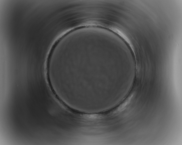 X0000089691045200707201716
