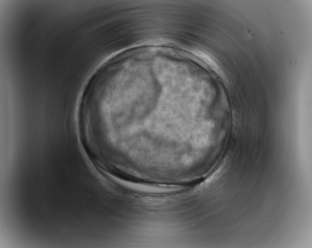 X0000089691046200707201716