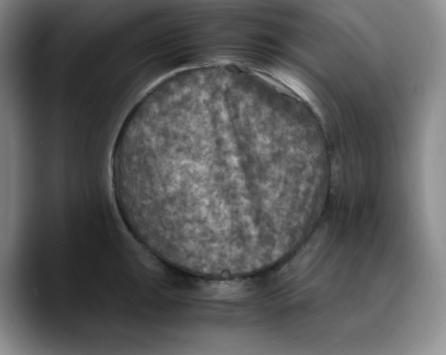 X0000089691047200707201716