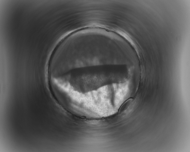 X0000089691048200707201716