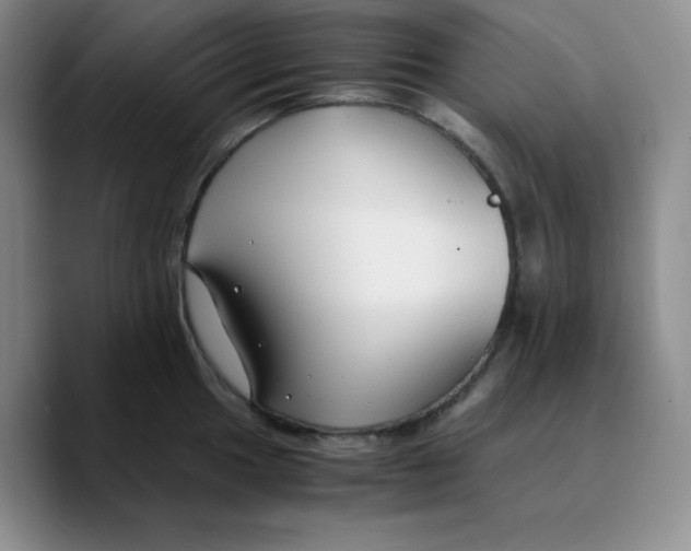 X0000089691049200707201716
