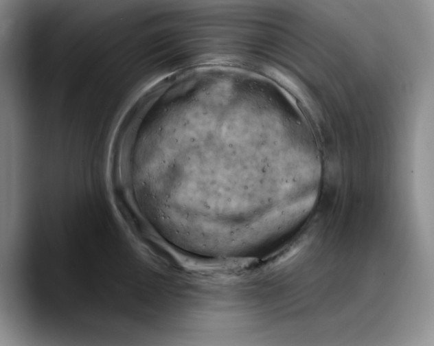 X0000089691050200707201716