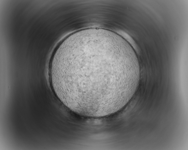 X0000089691051200707201716