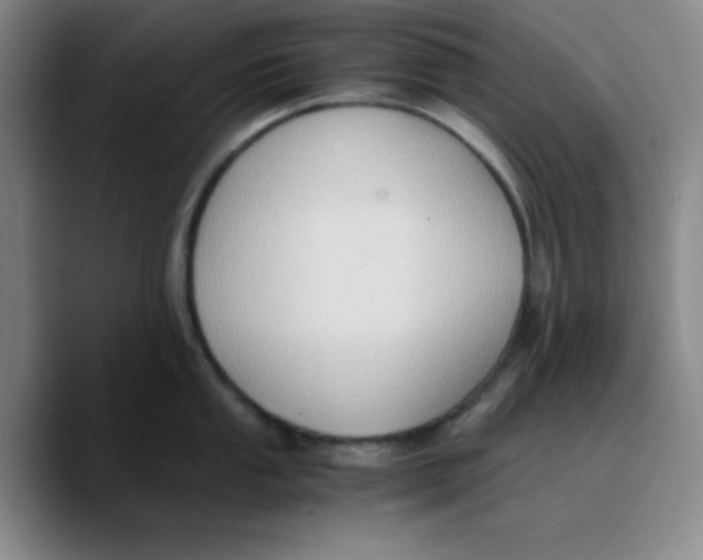 X0000089691053200707201716