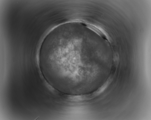X0000089691054200707201716