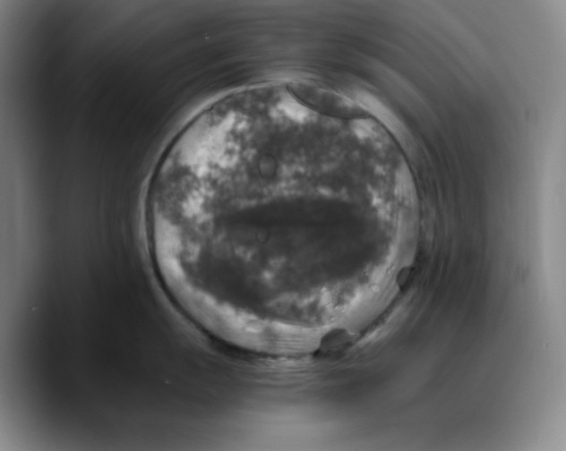 X0000089691055200707201716