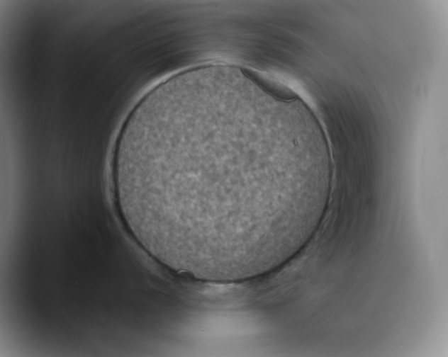 X0000089691056200707201716