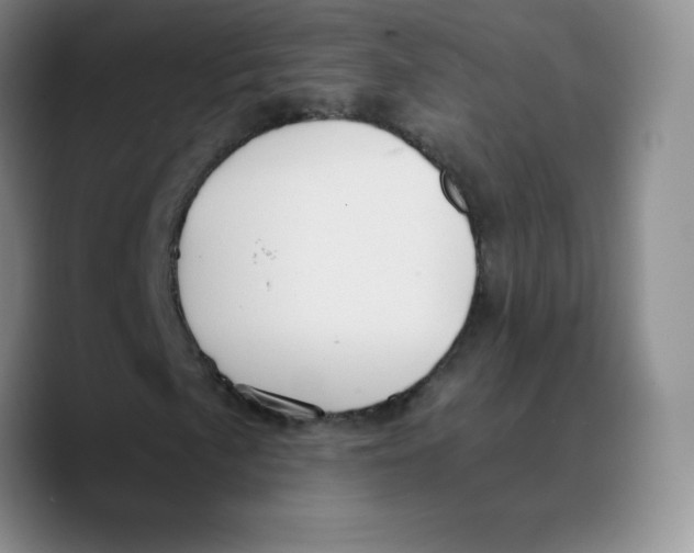 X0000089691057200707201715