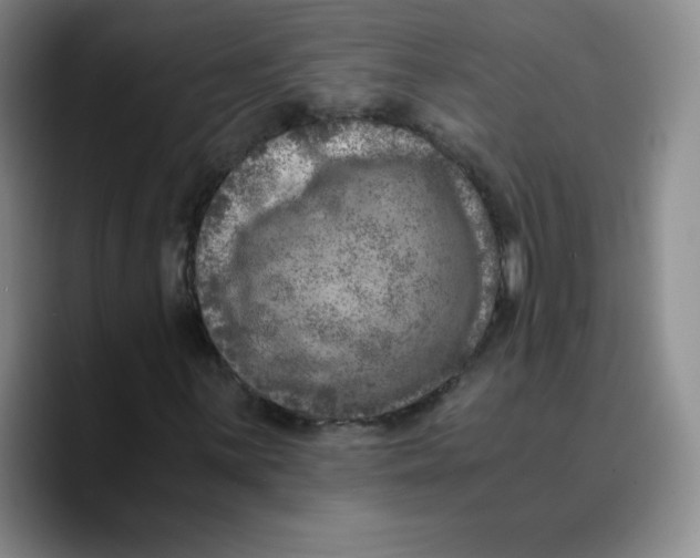 X0000089691059200707201715