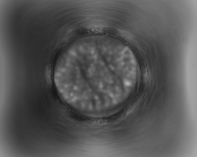 X0000089691060200707201715