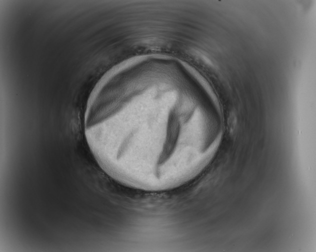 X0000089691062200707201715