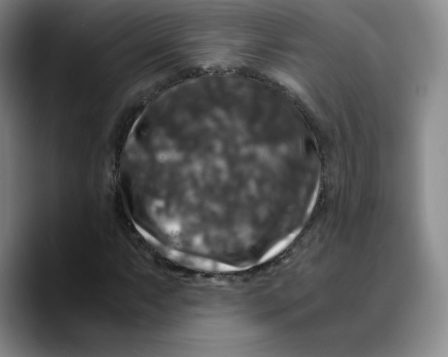 X0000089691063200707201715