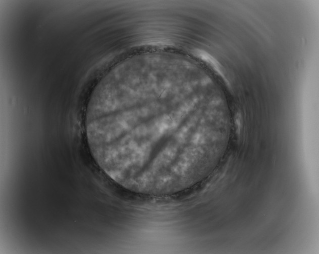 X0000089691064200707201715