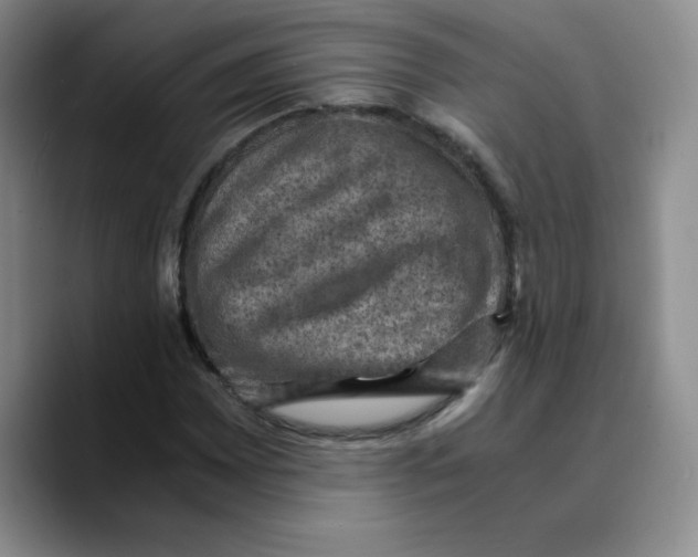 X0000089691065200707201715
