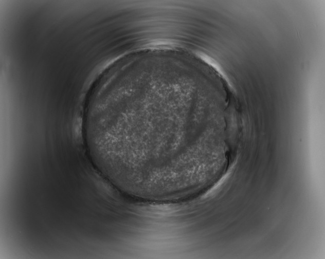X0000089691066200707201715