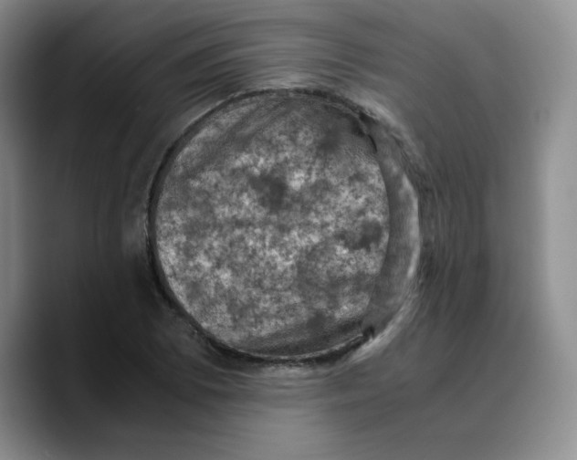X0000089691073200707201715