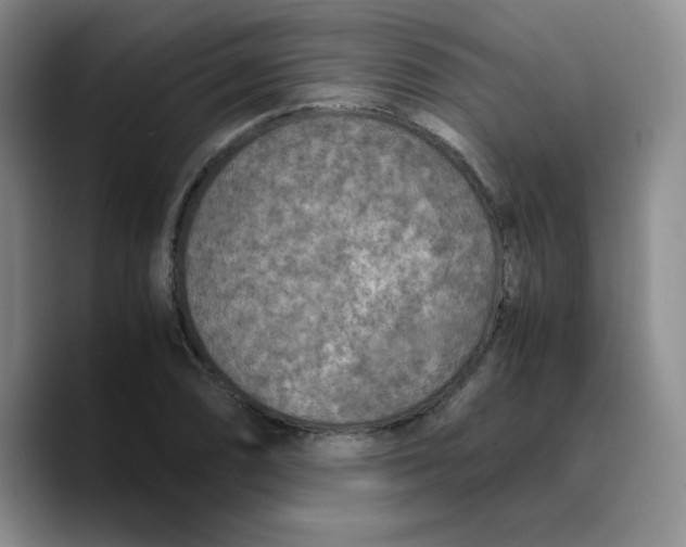 X0000089691074200707201715