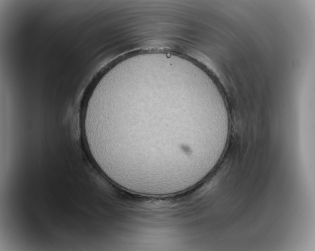 X0000089691075200707201715